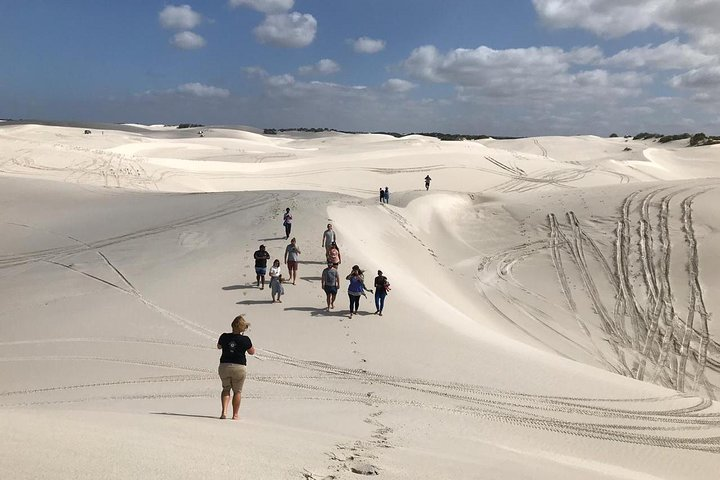 Explore the stunning white sands of the West Coast where friends gather for a memorable adventure connecting with nature and each other amidst breathtaking landscapes.